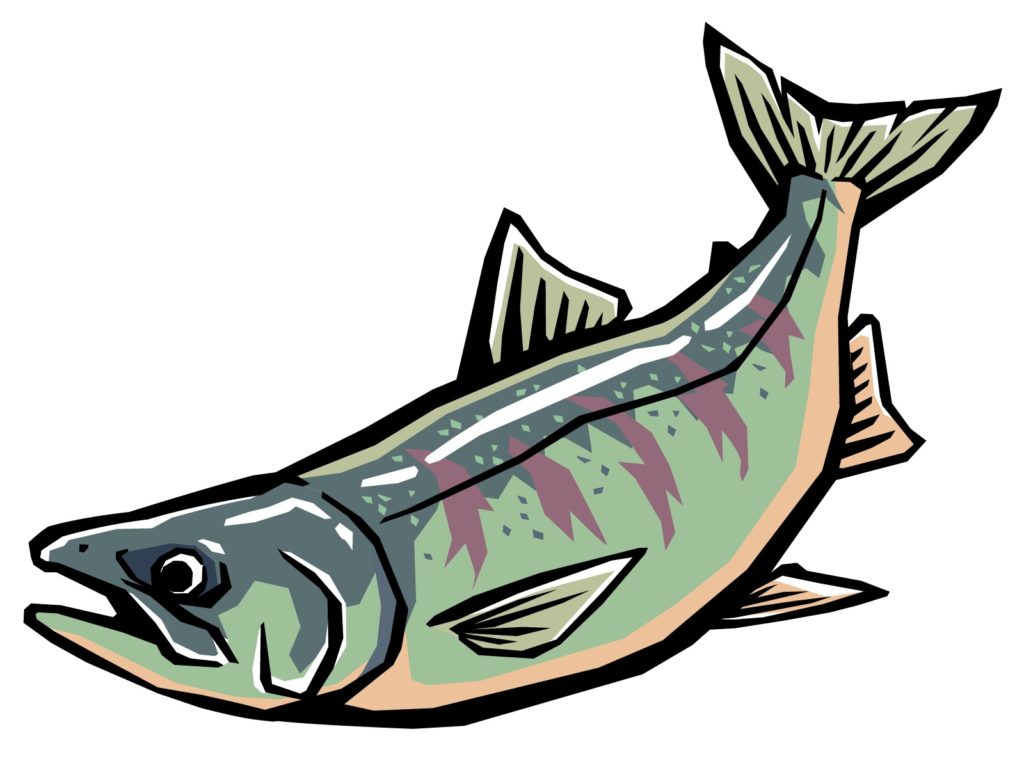白身魚の吸い物を格段に上品にするには 青魚のdhaとepa